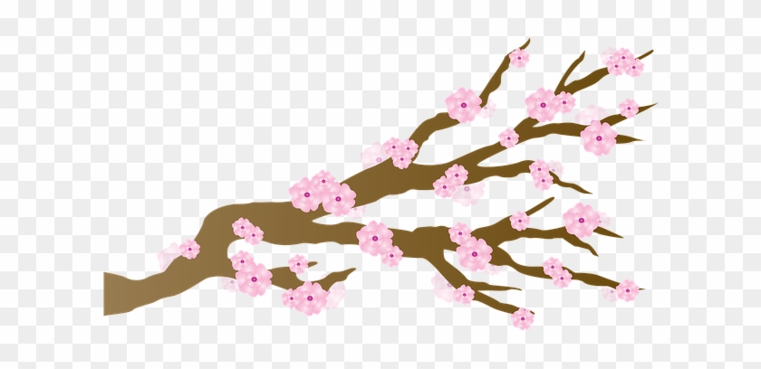 Image Free Download - Cherry Blossoms Png #831092