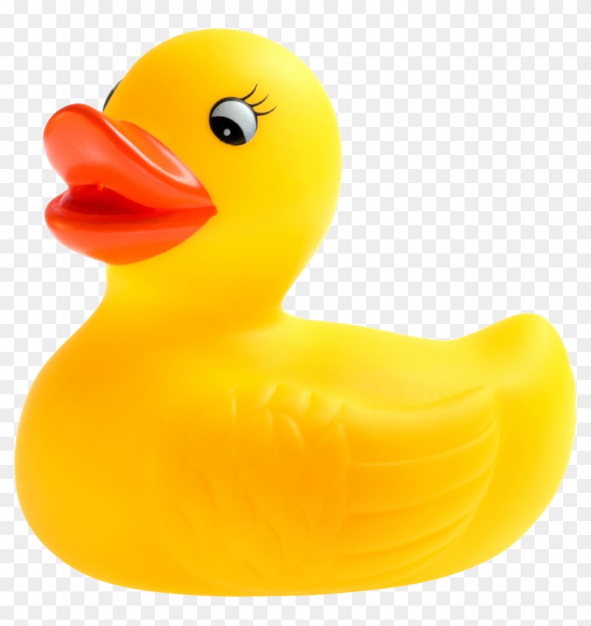 Rubber Duck #831218