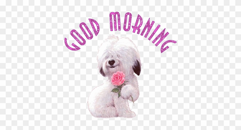 Good Morning Joyous Sunday - Good Morning Cute Rose #831225