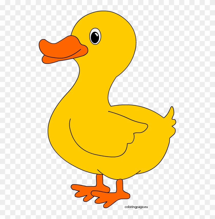 Template Of A Duck #831232
