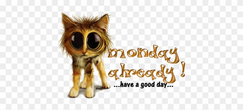 Happy Monday Sms Wallpapers Quotes Mms Wishes Images - Happy Monday Sms Wallpapers Quotes Mms Wishes Images #831255