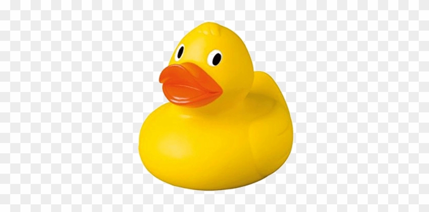 Adopt A Duck - Duck #831284