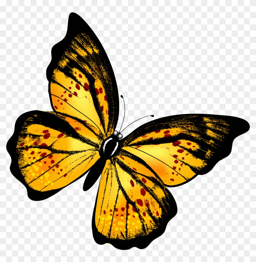 Yellow Transparent Butterfly Png Clipart Picture - Per Aspera Ad Astra [book] #831537