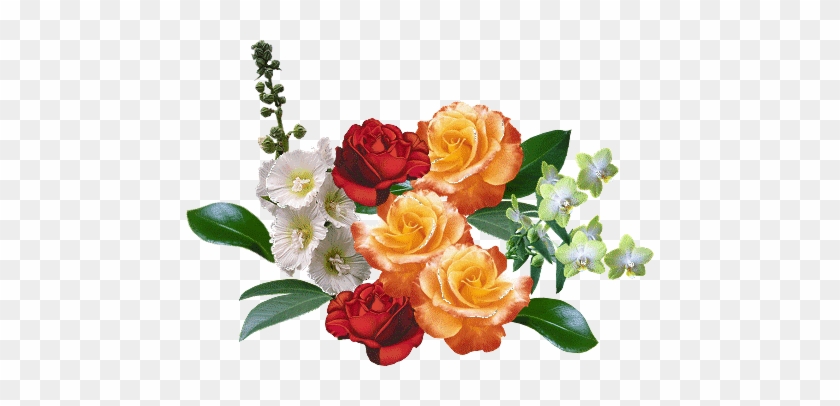 Transparent Flowers - Transparent Images Of Flowers #831655