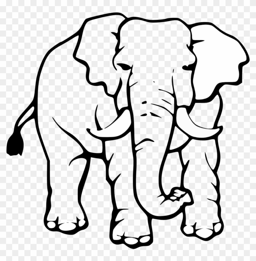 Elephant Drawing Black And White #831677