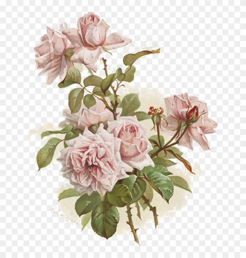 "к" Card From User Olqa Quryanova In Yandex - Vintage Rosa Rosen Iphone 8 Plus/7 Plus Hülle #831890