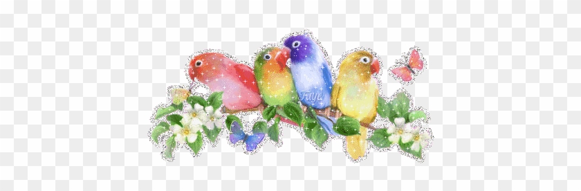 Animated Love Birds Gif - Free Transparent PNG Clipart Images Download