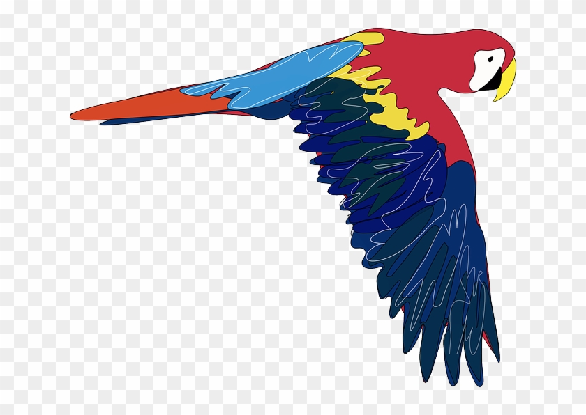 Bird, Flying, Parrot, Colorful, Animal, Pretty - Parrot Clip Art #831979