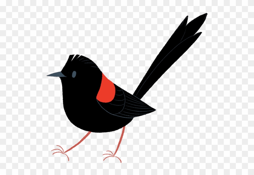 But Dan Still Wondered Why Females Preferred The Males - Red Winged Blackbird Clipart #831981