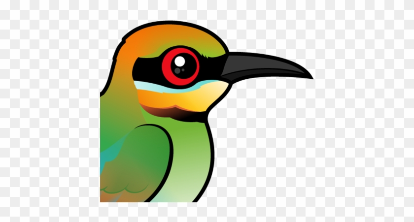 The Rainbow Bee Eater Is A Beautifully Colored Bird - King Penguin #831984