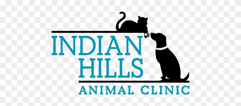 Tuscaloosa Animal Clinic - Cat Jumps #832012