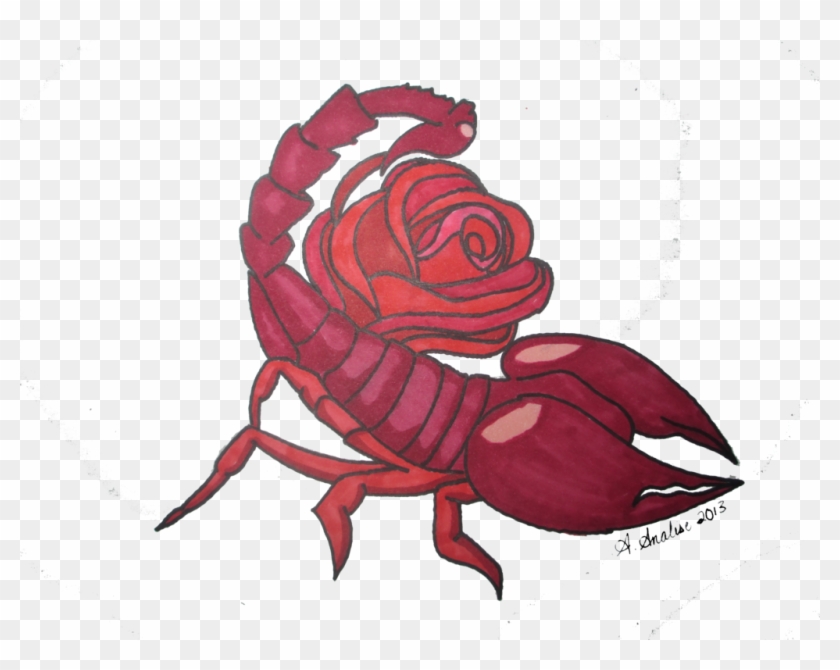 Scorpion With A Rose Tail #832325
