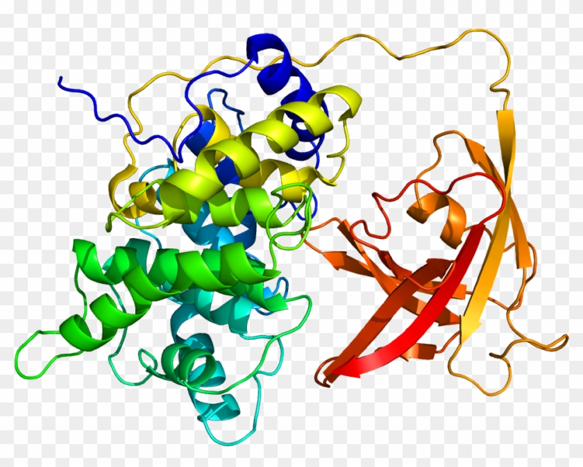 Protein Gif Pdb 2ckt - Factor Intrinseco De Castle #832352