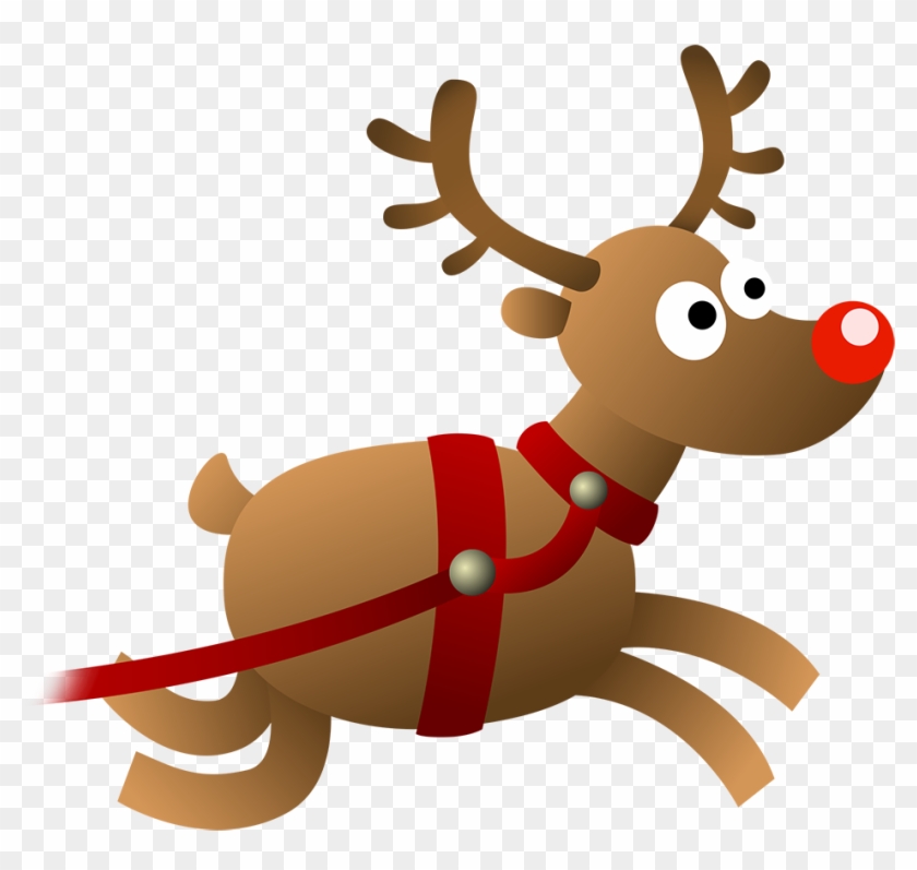 Reindeer - Reindeer #832478