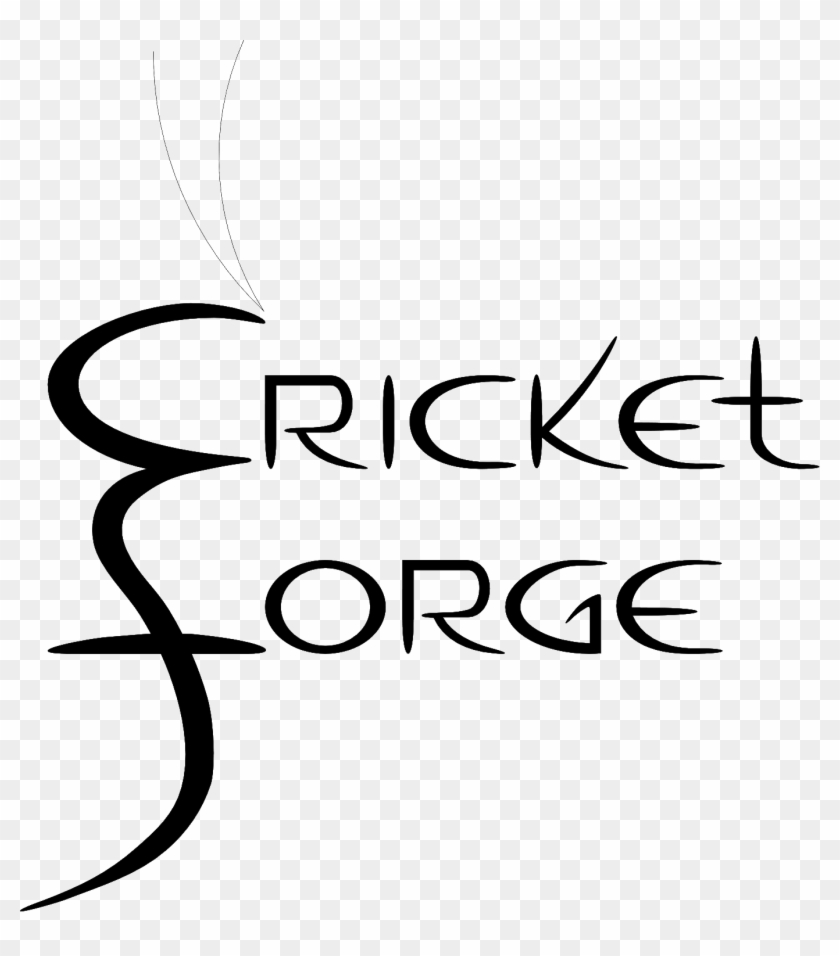 Contact Us - Cricket Forge #833125