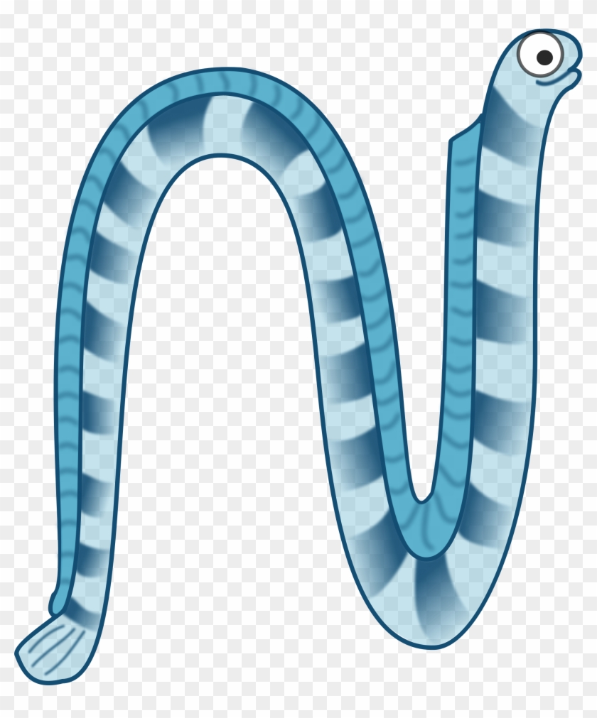 Sea Snake - Draw A Sea Snake #833214