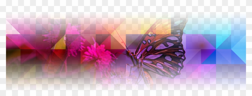 Butterflies - Graphic Design #833352