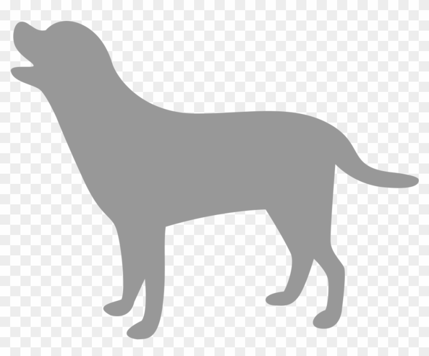 Large Dog Example - Dog #833472