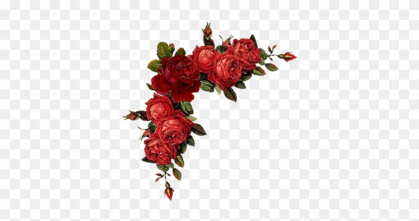 Rosas De Verônica - Flower Border Red Png #833517