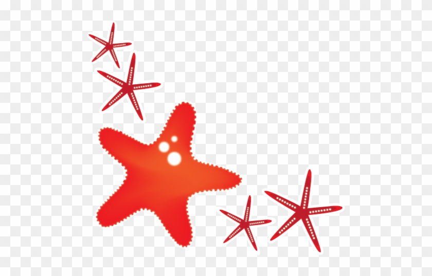 Starfish Red Clip Art - Starfish #833887