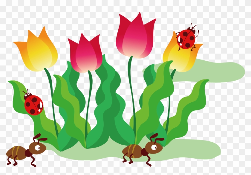 Tulip Drawing Illustration - Flores Desenho Tulipas Png #834200