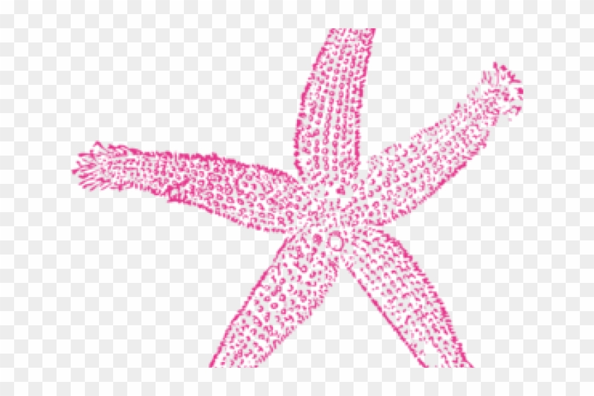 Drawn Starfish Transparent Background - Estrellas De Mar Png #834749