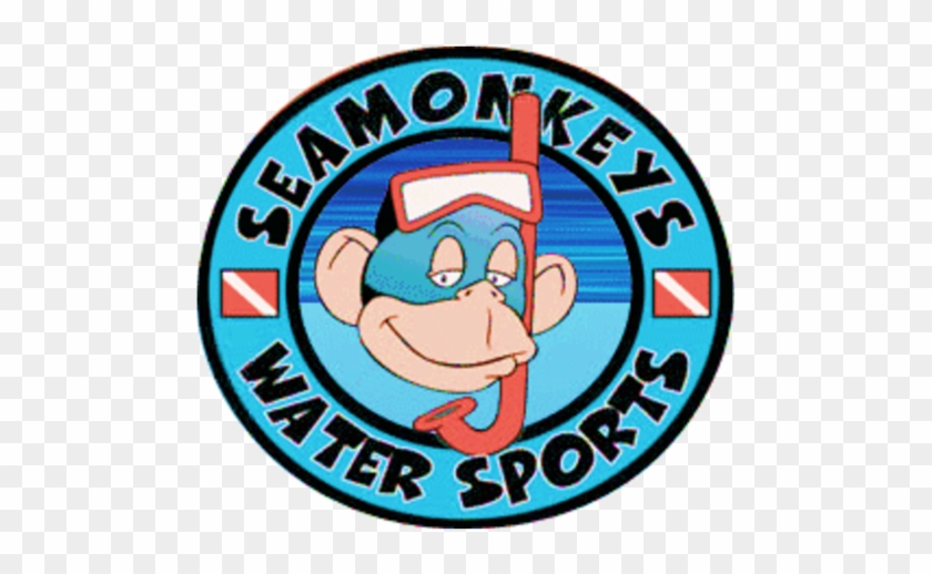 Seamonkeys Scuba Diving And Watersports Rentals Islamorada - Seamonkeys Scuba Diving And Watersports Rentals Islamorada #834975