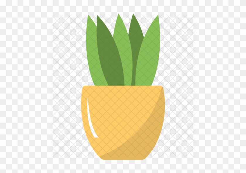 Indoor Plant Icon - Houseplant #835054