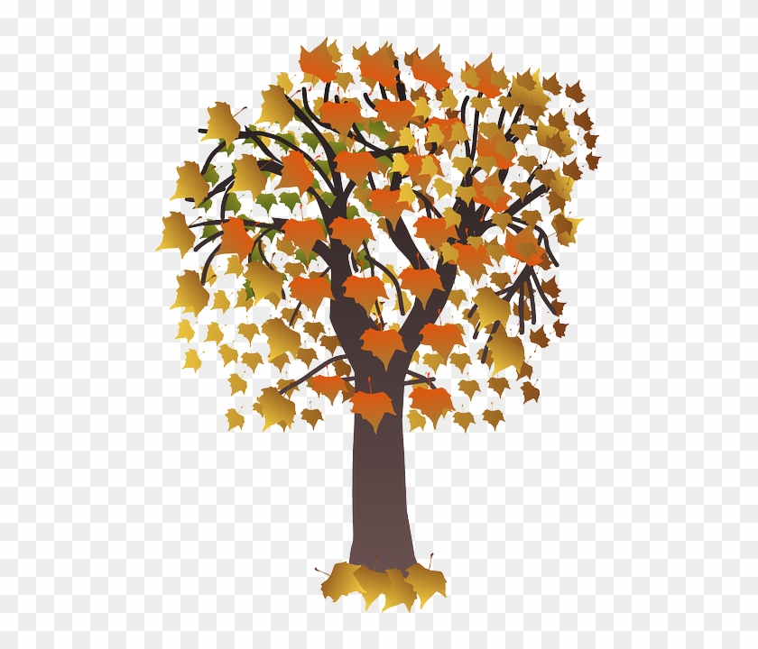 Foliage, Brown, Fall, Leaves, Nature, Orange - Maple Tree Clip Art #835207