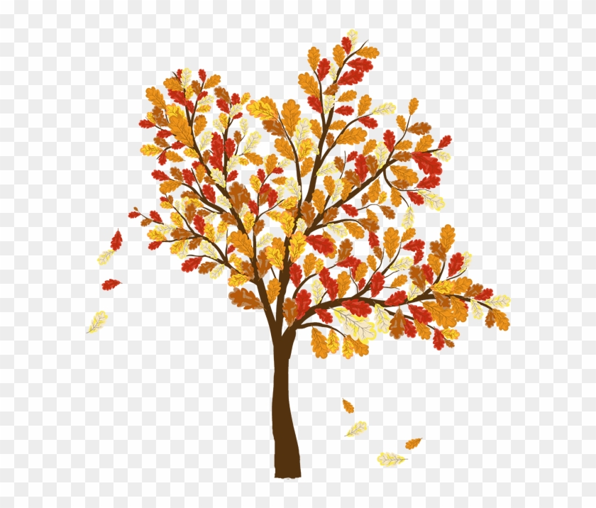 Fall Trees And Leaves Clip Art Picture Of Tree With - Lobster Gram 16-20 Lb. Peacock Amish Turkey #835261