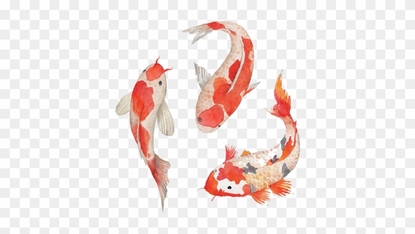 Good Peceshome With Peces Japoneses Koi - Reminisce Everything Zen Double-sided Cardstock 12"x12" #835298
