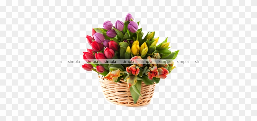 Тюльпаны В Корзине Png #835538
