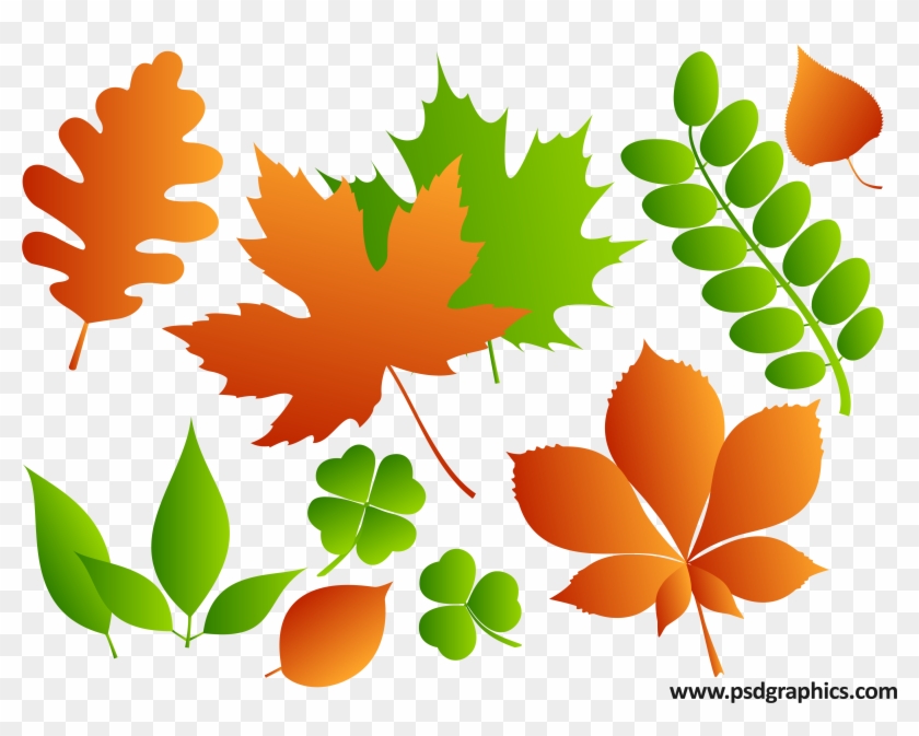 Summer Landscape Illustration - Maple Leaf Ai Download #835660