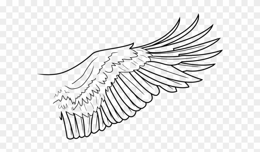 Simple Wing Lines By Freakzter Freebies On Deviantart - Eagle Wings Line Drawing #835957