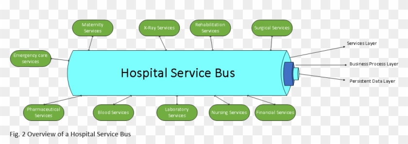 Services Are Built To Be Autonomous But Can Also Be - Business Process Layer Of A Hospital #836345