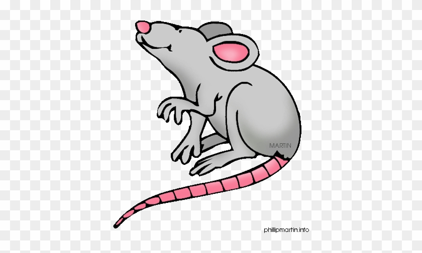 Cartoon Rat Clipart - Rat Clip Art Free #836349
