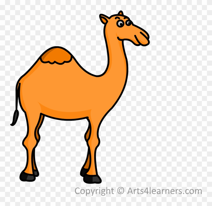 How To Draw A Camel Arts4learners - Easy Camel To Draw #836476