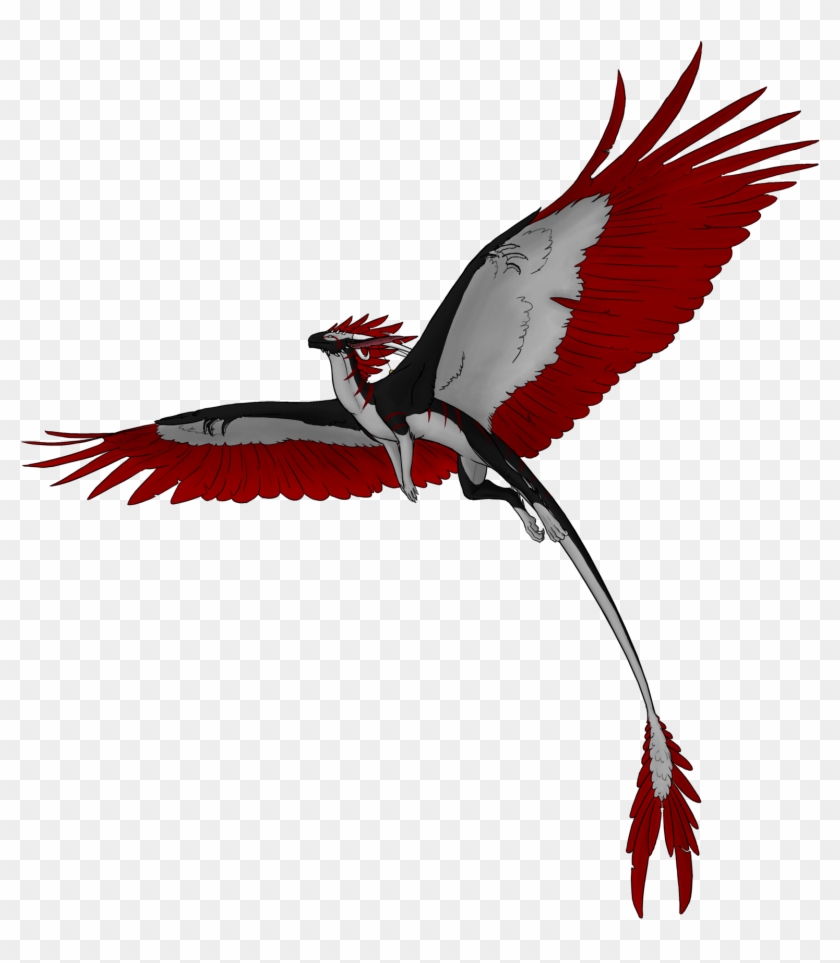 Flying Bird Png Mart - Dragon Flying Png #836733