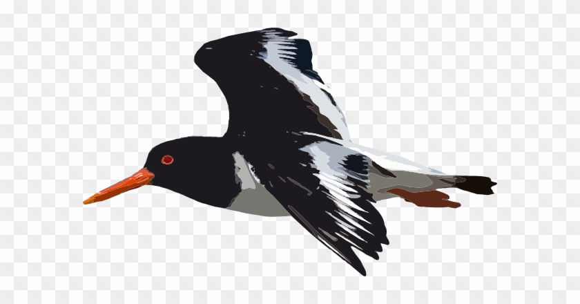 Black Bird Flying Svg Clip Arts 600 X 360 Px - Bird Flying Transparent Png #836779