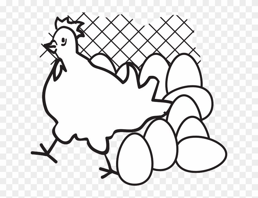 Chicken Eggs Clipart - Black And White Chickens With Eggs #837260