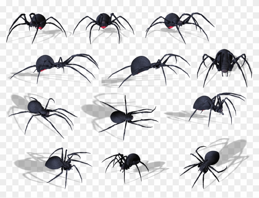 Spider Png Image - Spider #837325