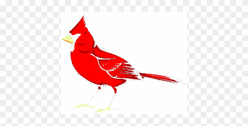 Clip Art Cardinal - State Bird Of Illinois #837364