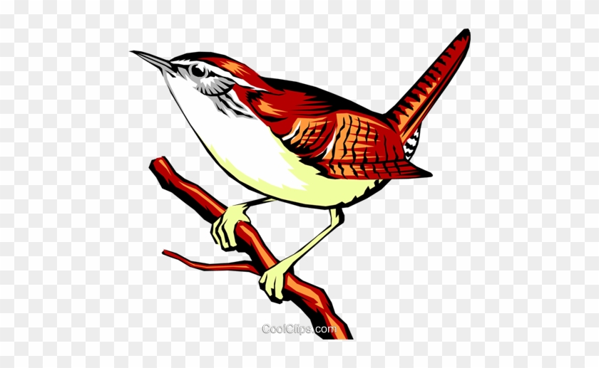 Carolina Wren Royalty Free Vector Clip Art Illustration - Wren Clipart Png #837372