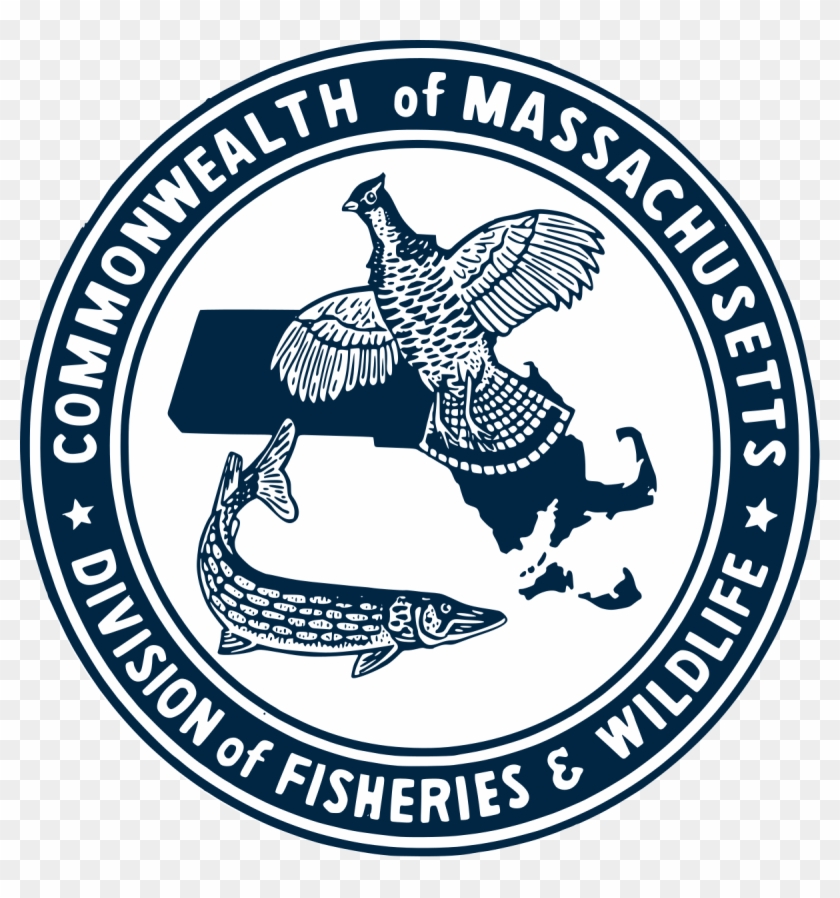 Emblem #837438