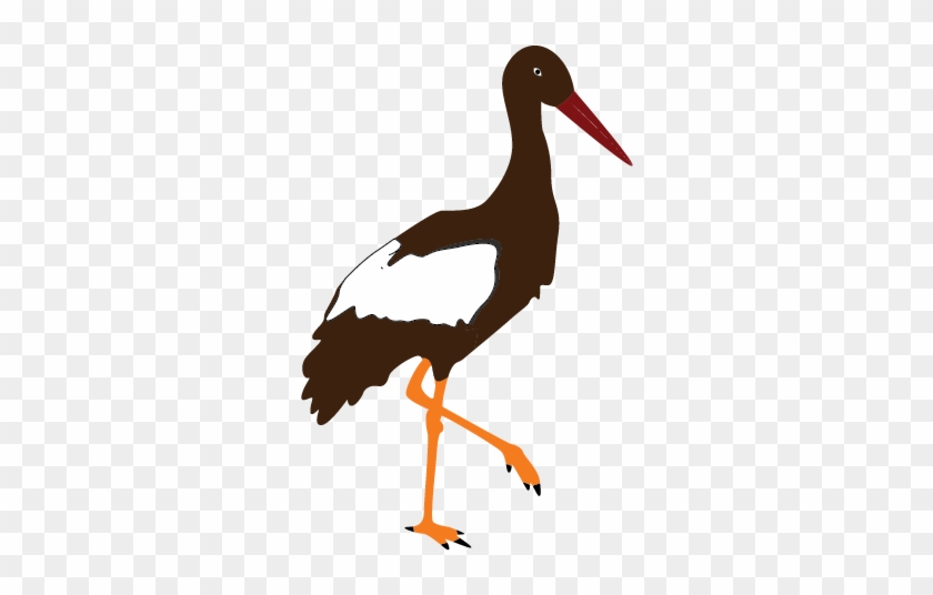 Marabou Stork Clipart - Koka Clipart #837451