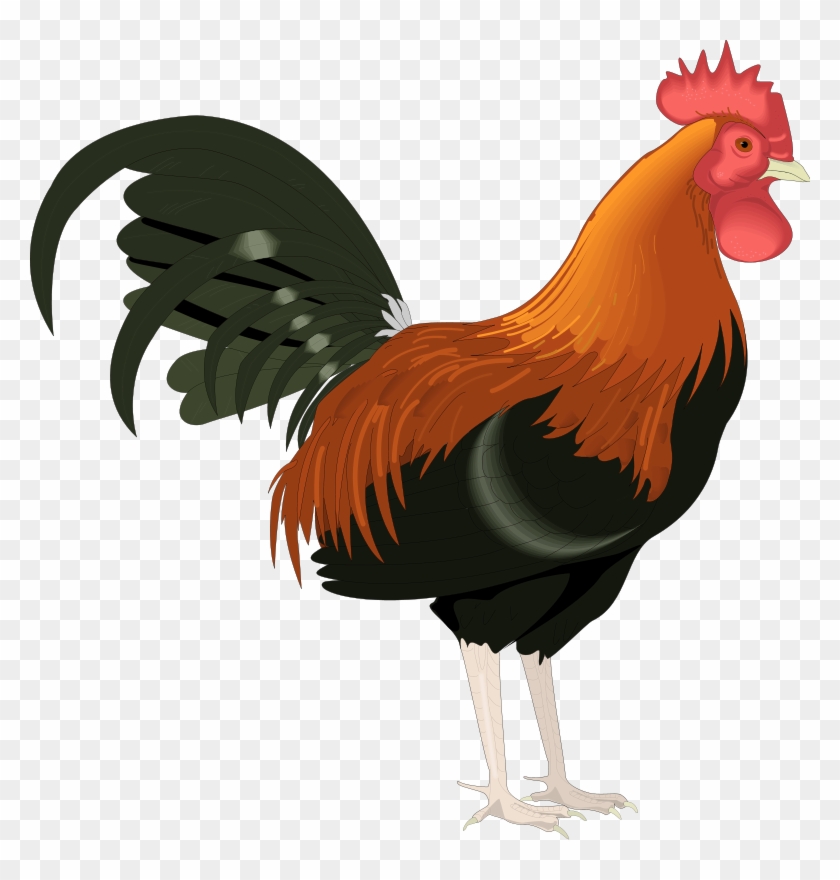 Rouster Walking Clip Art At Clker - Rooster Clipart #837504