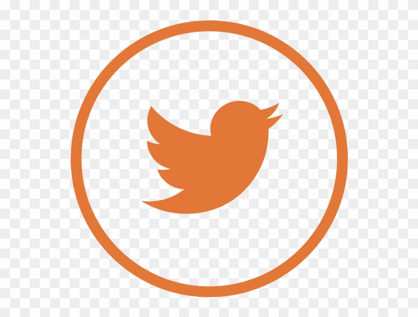 Follow Uf Law To Keep Up With Our Faculty, Students, - Twitter #837693
