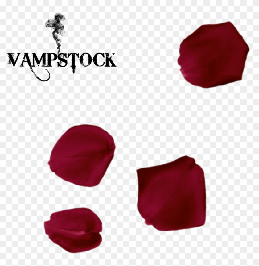 Rose Petal Png 5 Vampstock By Vampstock - Single Rose Petal Falling #837887