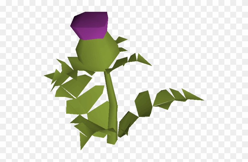 Thistle - Wiki #838272