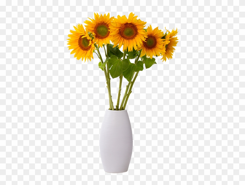 The Voiceover Industry - Sunflower In Vase Png #838656